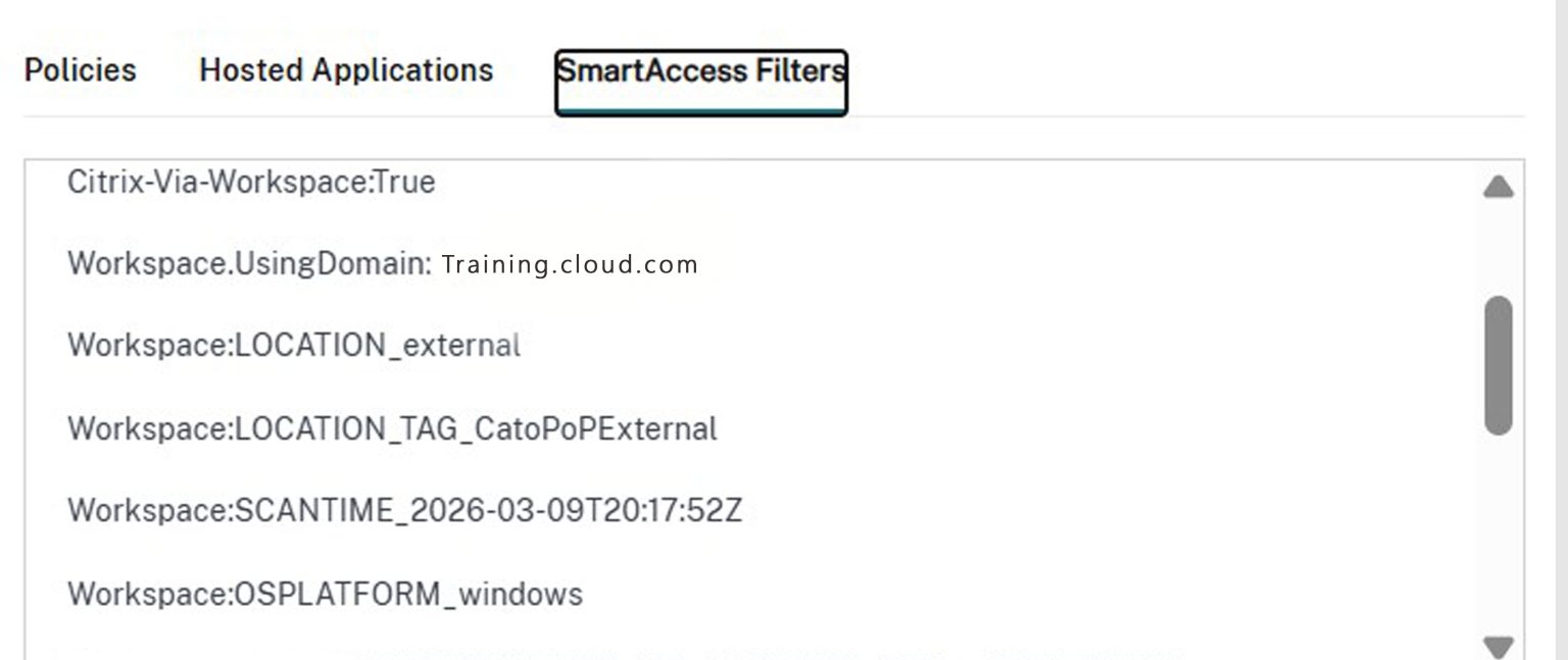 Enhance User Performance and Security Using Citrix DaaS Adaptive Access ...